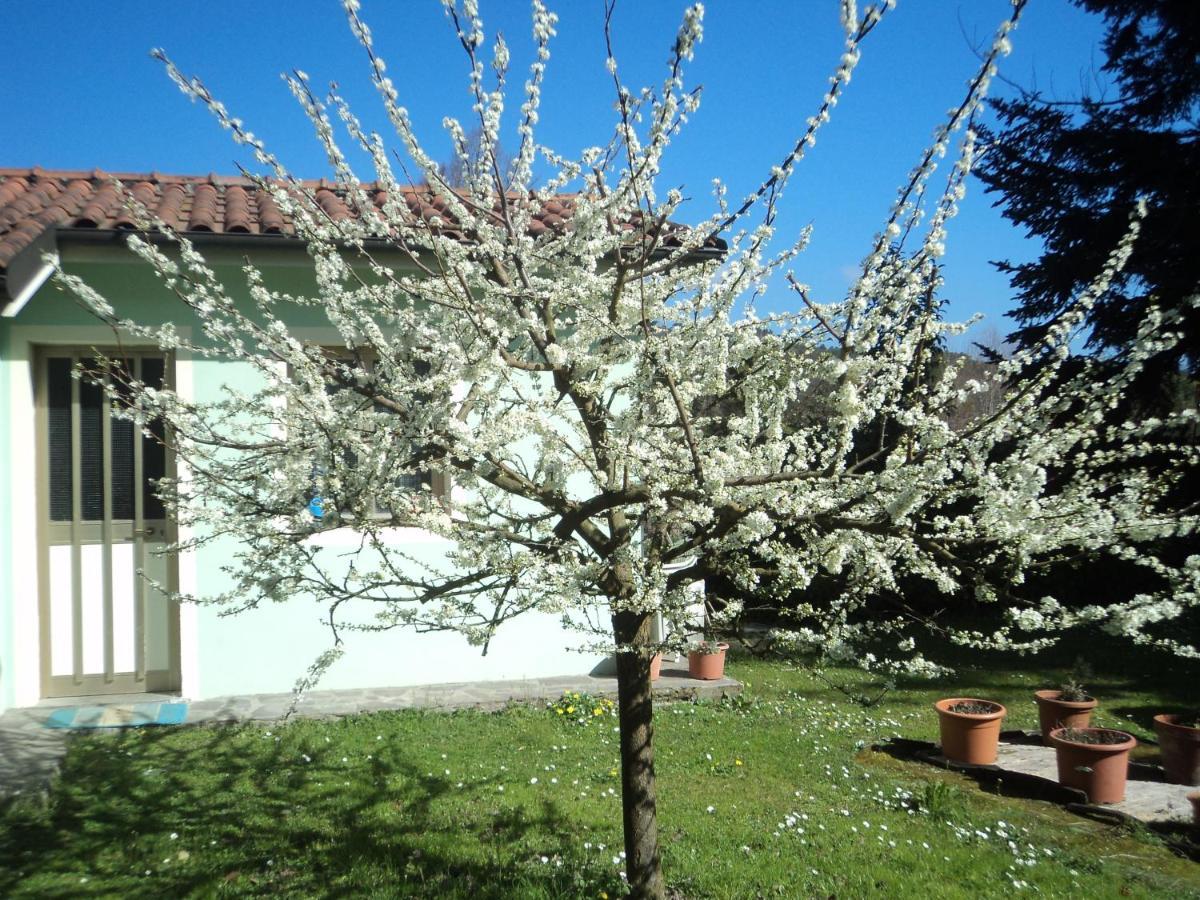 Casa Le Sorelline Guest House San Macario In Piano Luaran gambar